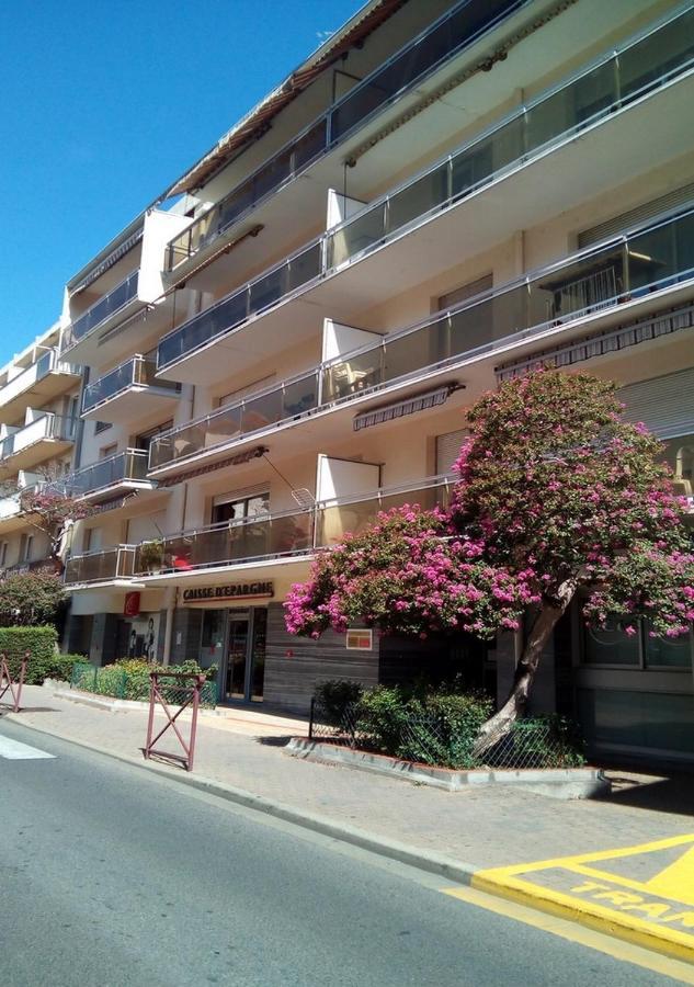 Studio Masol Avec Balcon Amélie-les-Bains-Palalda المظهر الخارجي الصورة